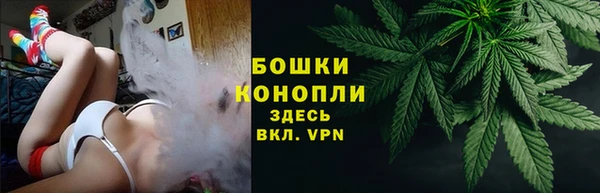шишки Ростов