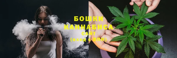 PSILOCYBIN Дубна