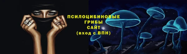 шишки Ростов