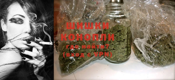 PSILOCYBIN Дубна