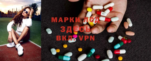 прущие грибы Дубовка