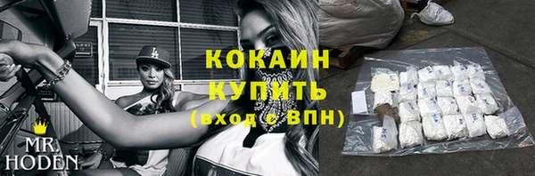 прущие грибы Дубовка
