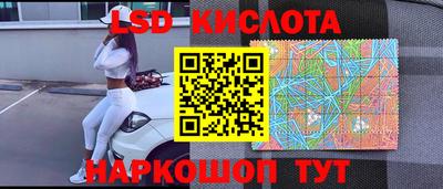 прущие грибы Донецк
