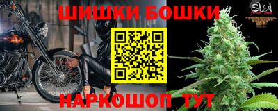 прущие грибы Донецк