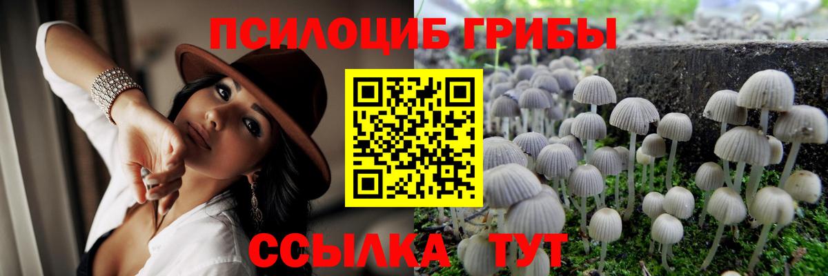 Псилоцибиновые грибы Psilocybe  цена   Кушва 
