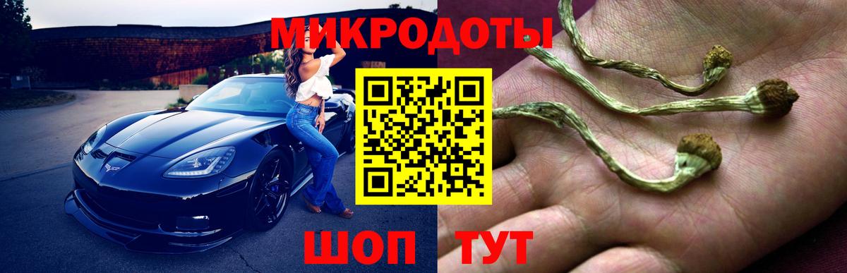 Кушва  Галлюциногенные грибы ЛСД  Вход с VPN 