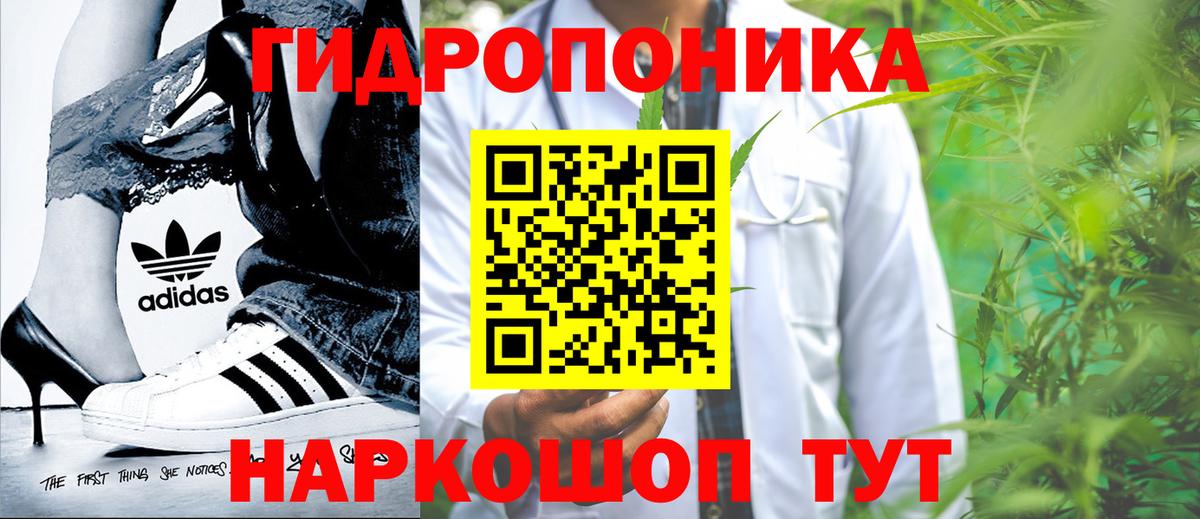 Бошки марихуана план Кушва